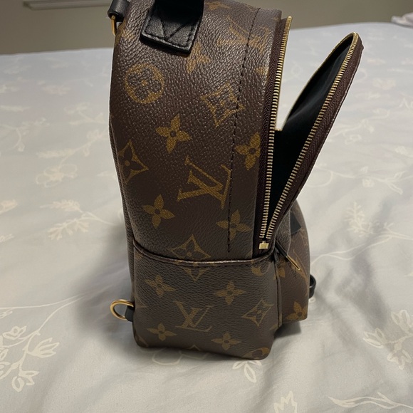 Louis Vuitton Palm Spring Mini bag - Picture 3 of 7